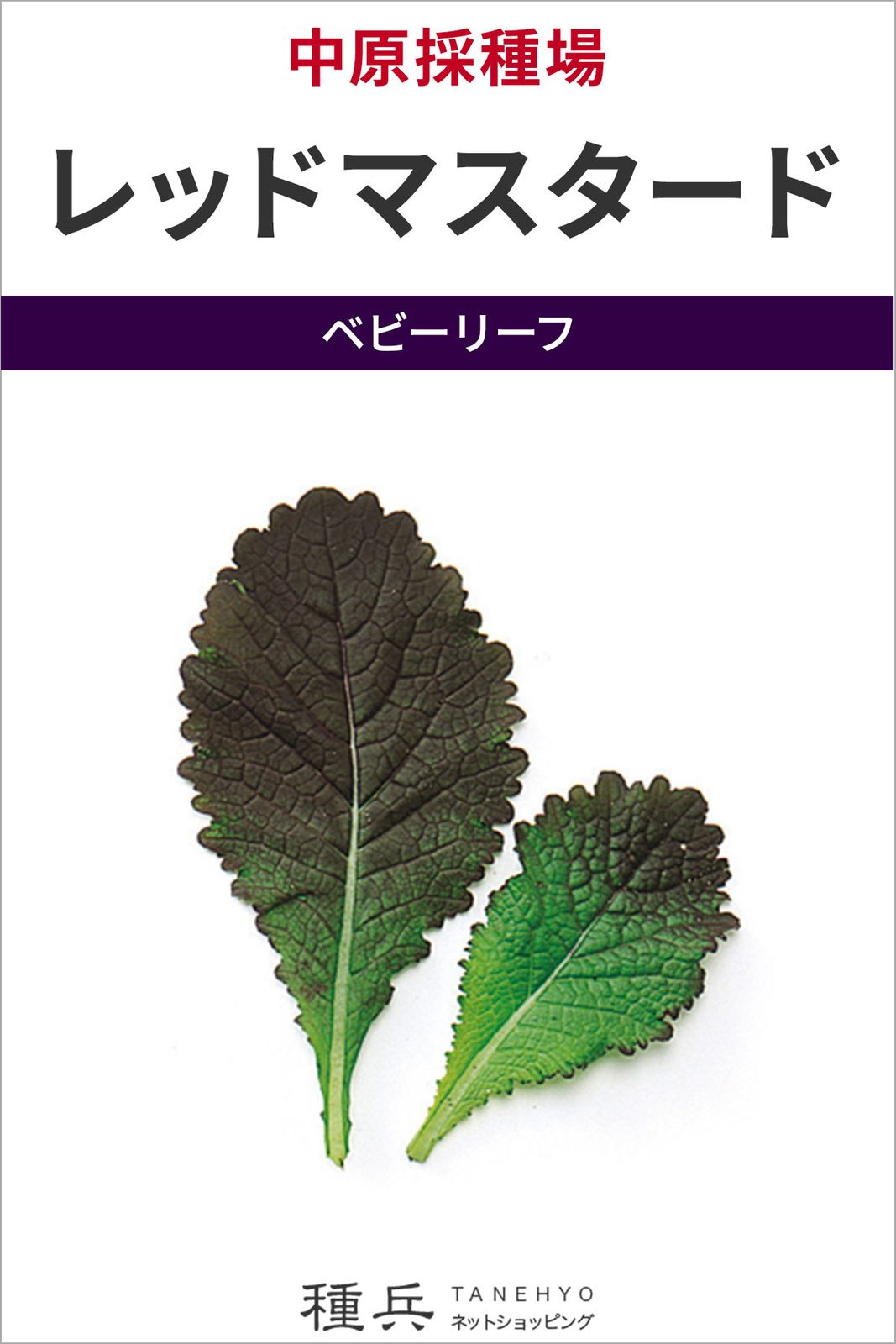 ベビーリーフ 種 『レッドマスタード』  中原採種場