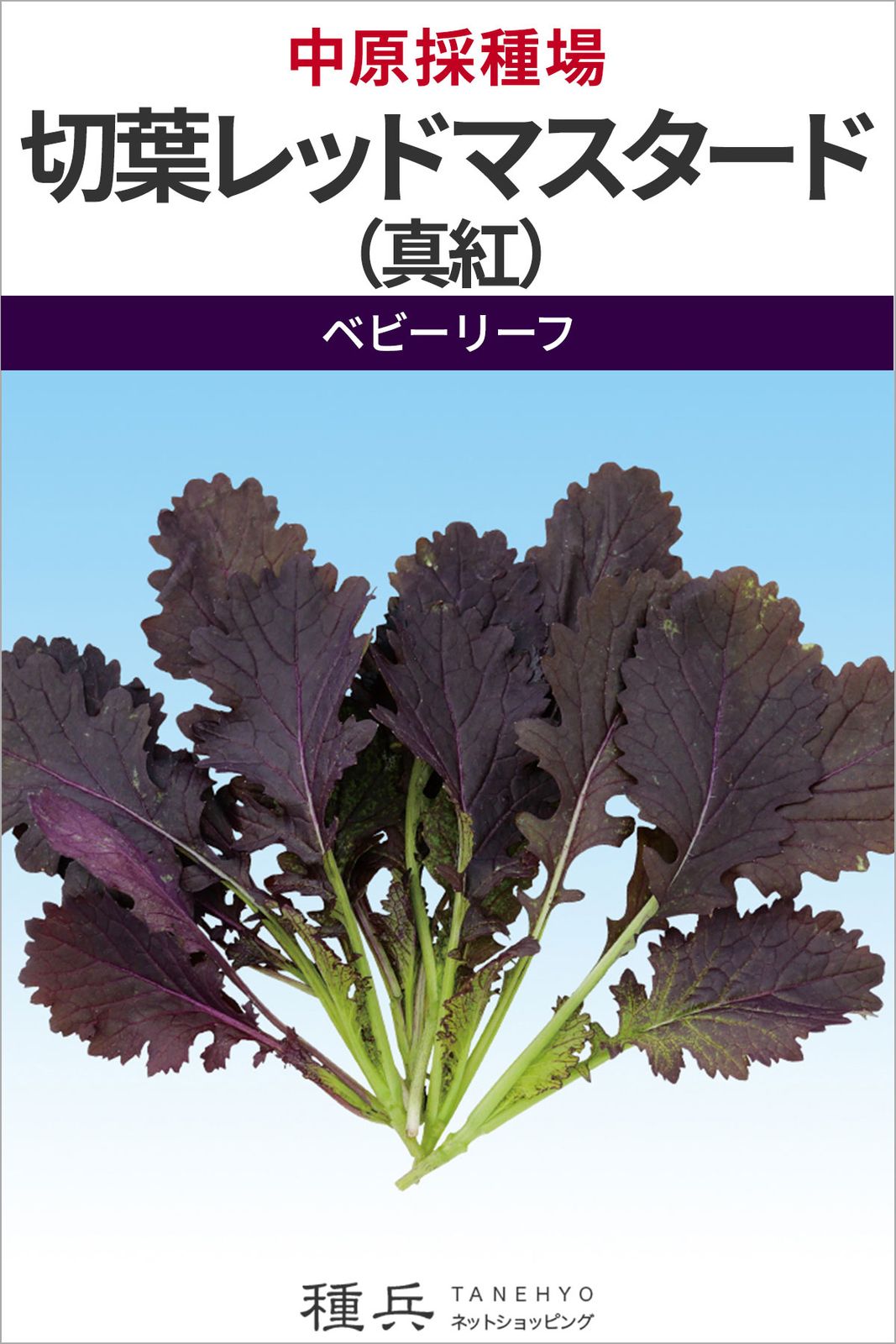 ベビーリーフ 種 『切葉レッドマスタード（真紅）』  中原採種場