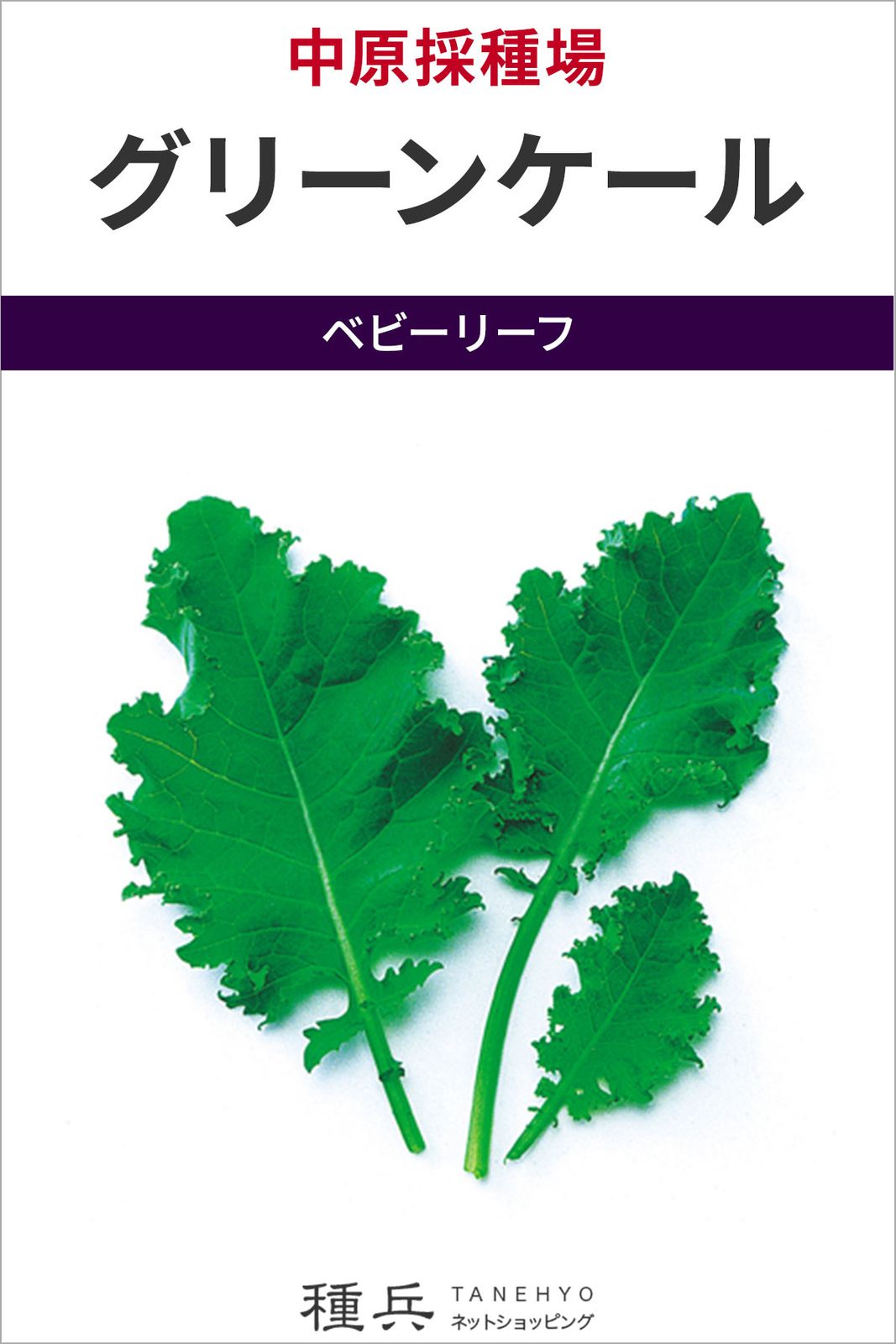 ベビーリーフ 種 『グリーンケール』  中原採種場