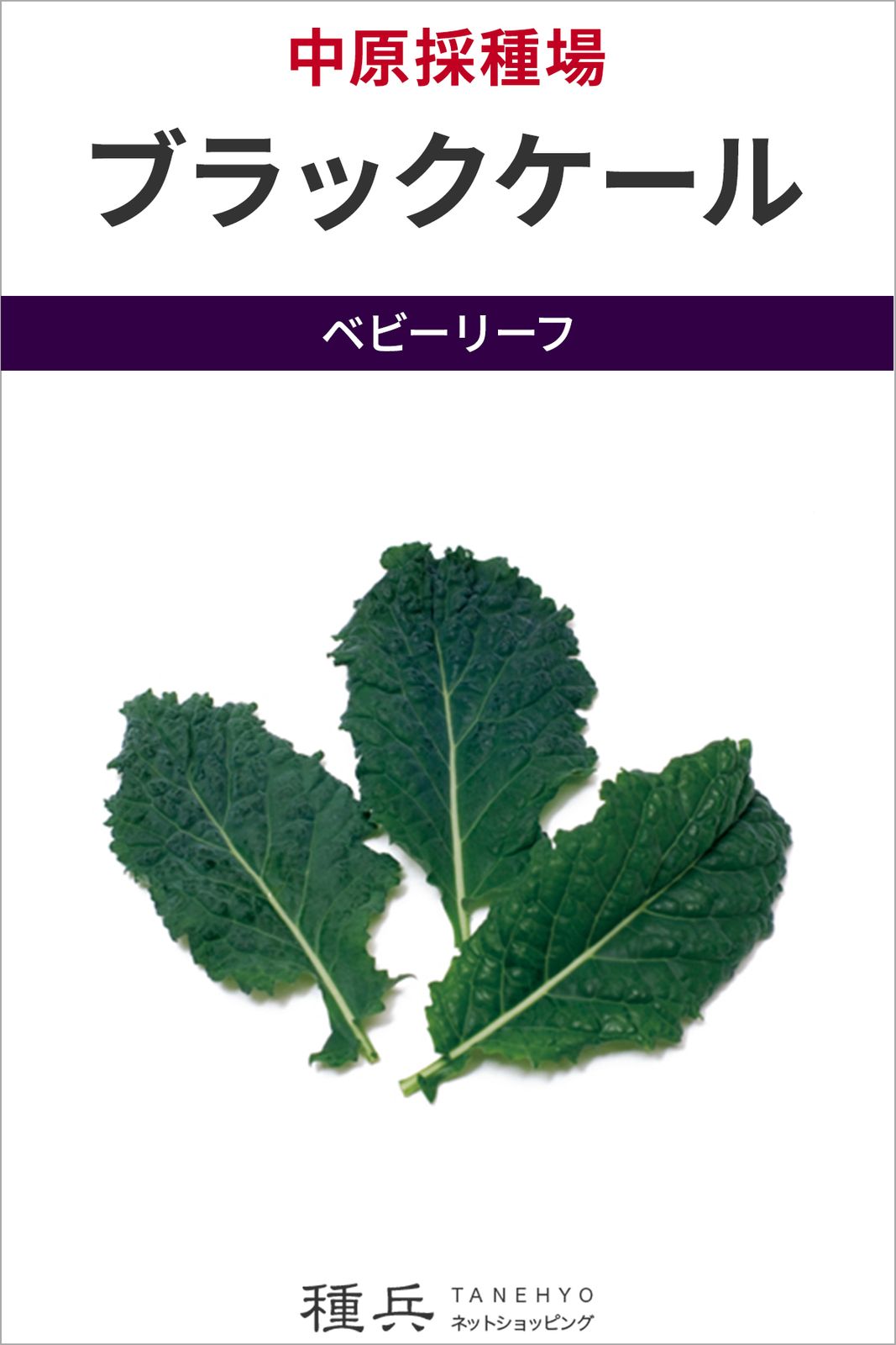 ベビーリーフ 種 『ブラックケール』  中原採種場