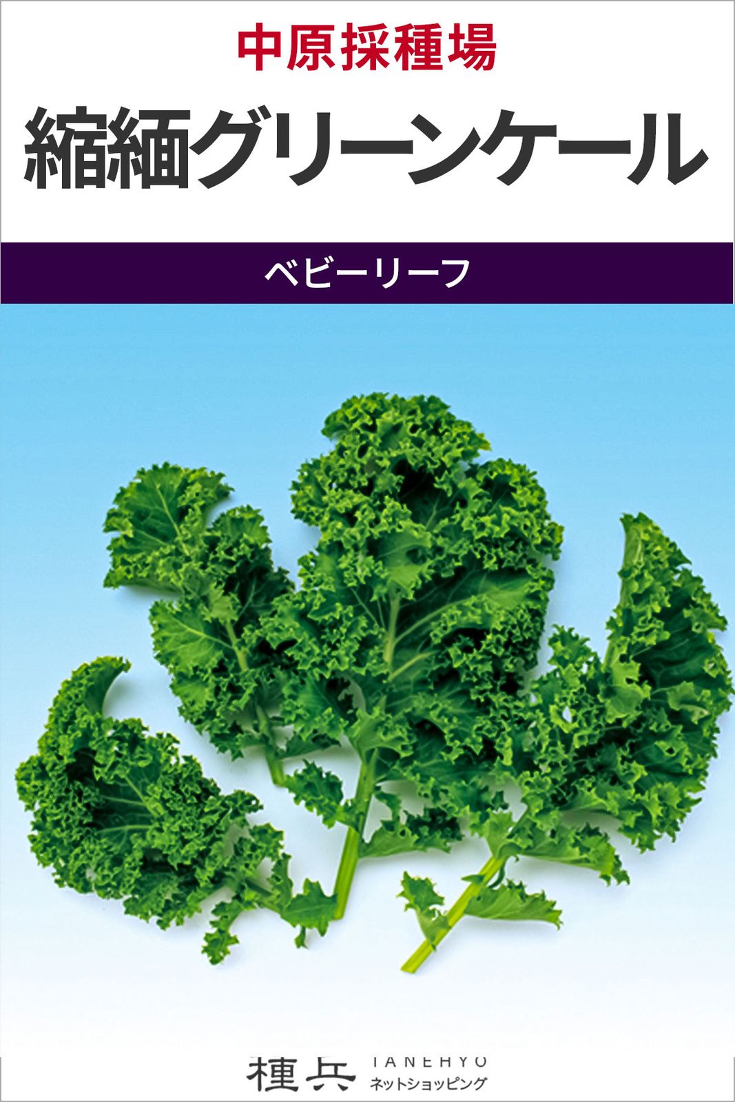 ベビーリーフ 種 『縮緬グリーンケール』  中原採種場