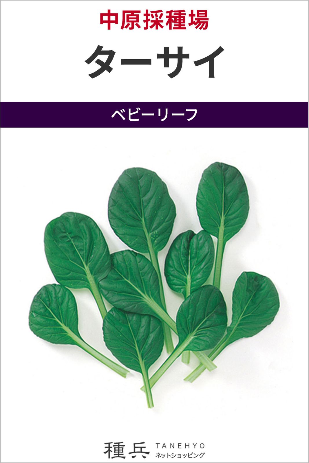 ベビーリーフ 種 『ターサイ』  中原採種場