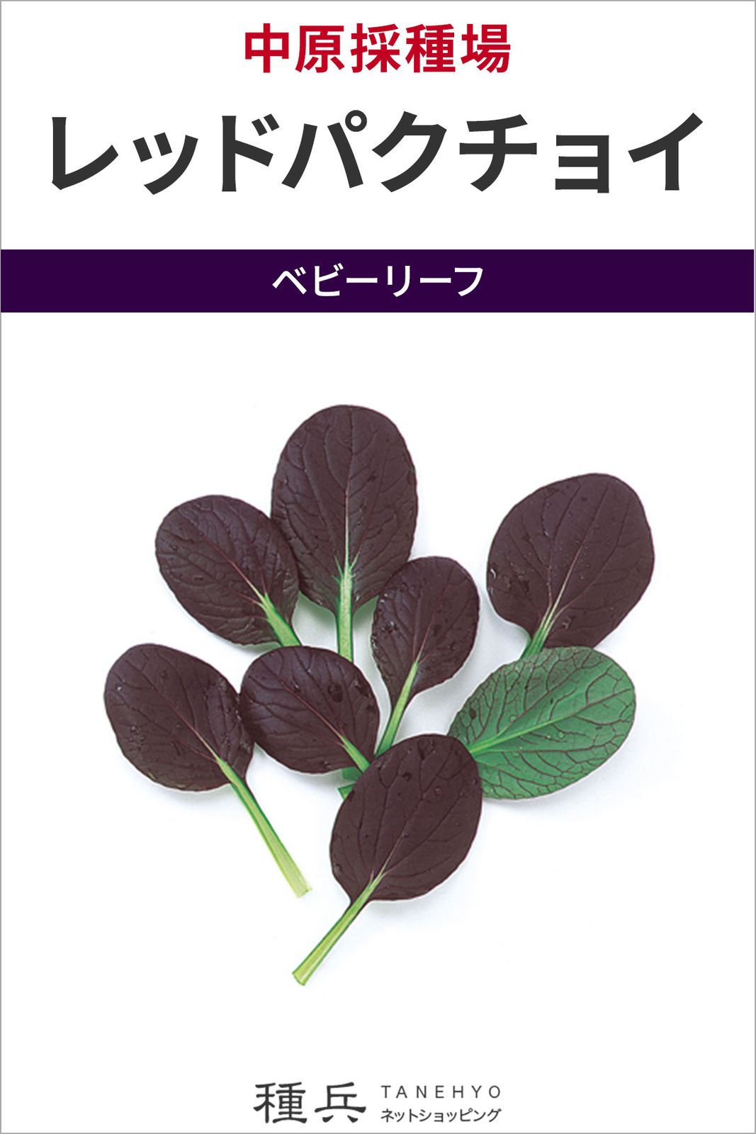 ベビーリーフ 種 『F1 レッドパクチョイ』  中原採種場