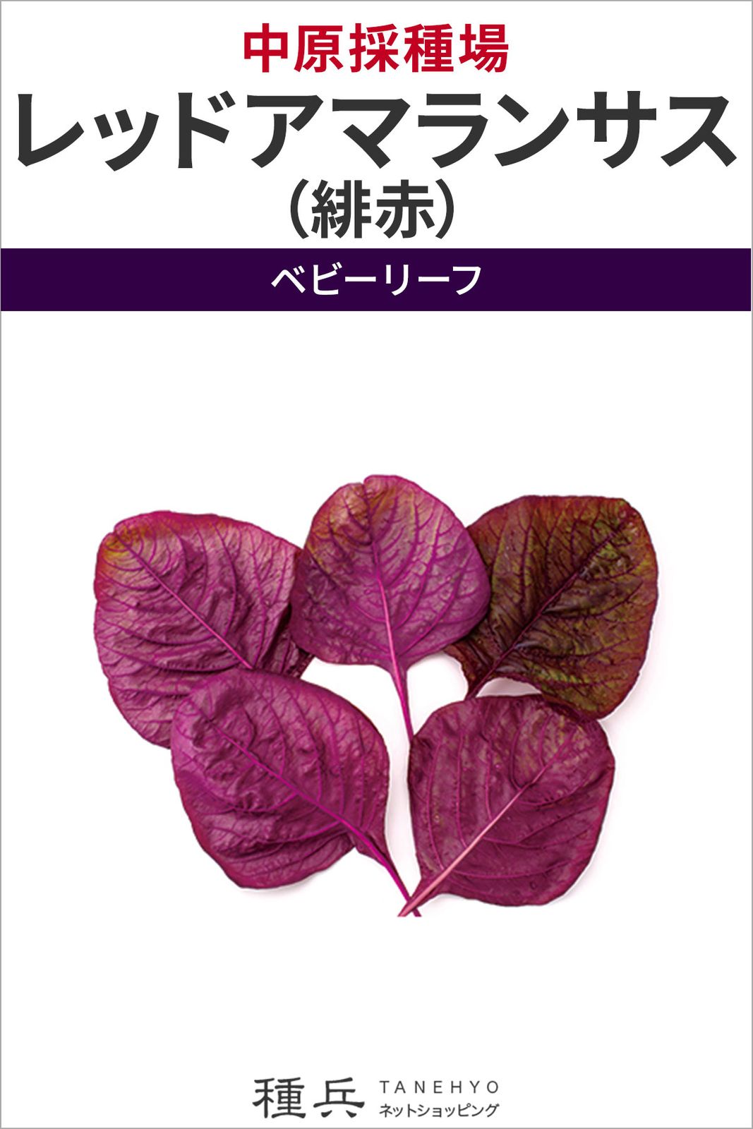 ベビーリーフ 種 『レッドアマランサス（緋赤）』  中原採種場