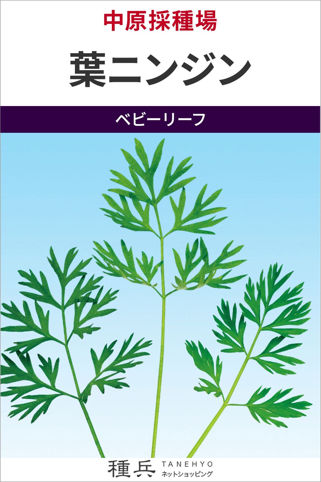 ベビーリーフ 種 『葉ニンジン』  中原採種場