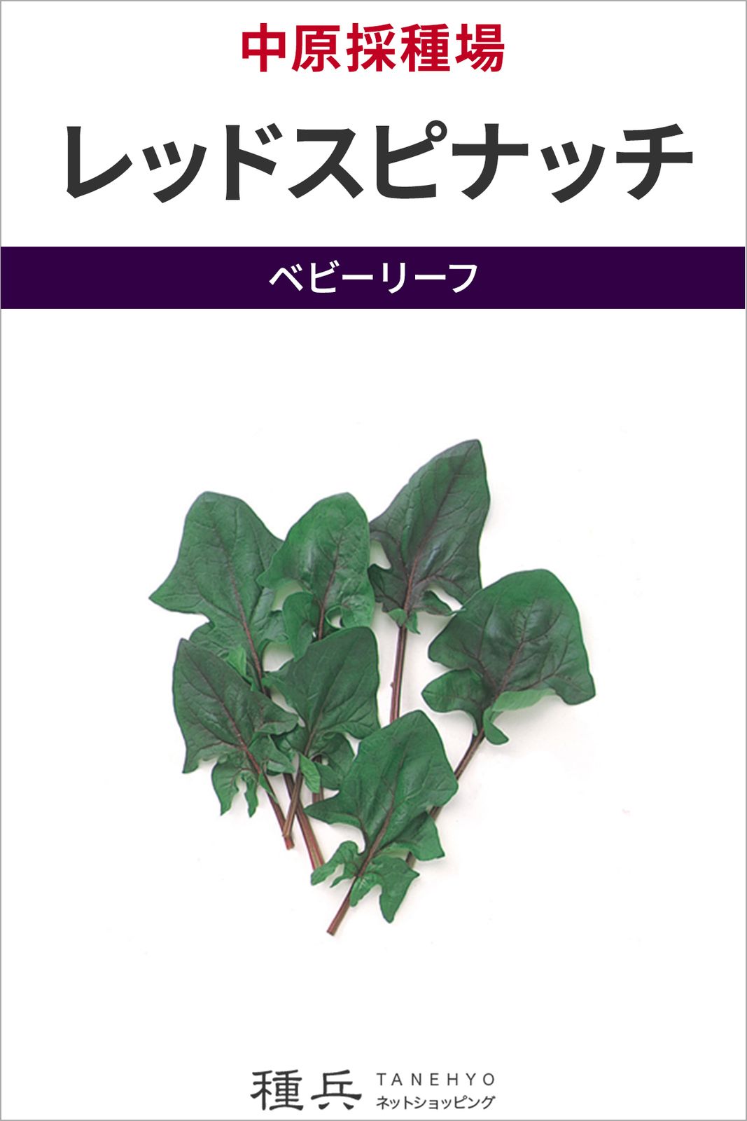 ベビーリーフ 種 『F1 レッドスピナッチ』  中原採種場