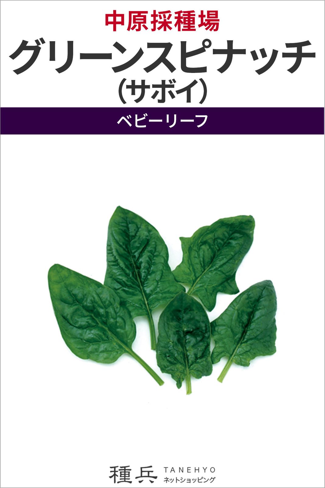 ベビーリーフ 種 『F1 グリーンスピナッチ（サボイ）』  中原採種場