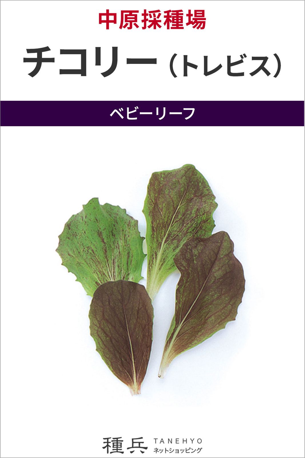 ベビーリーフ 種 『チコリー（トレビス）』  中原採種場