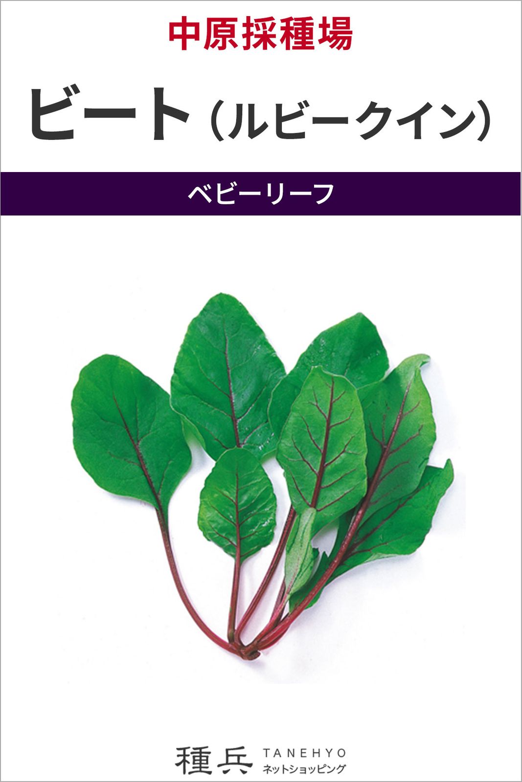 ベビーリーフ 種 『ビート（ルビークイン）』  中原採種場