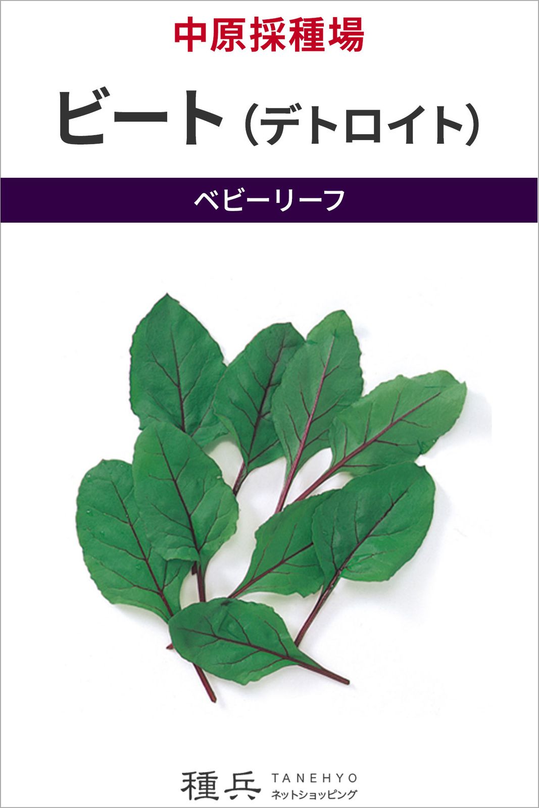 ベビーリーフ 種 『ビート（デトロイト）』  中原採種場