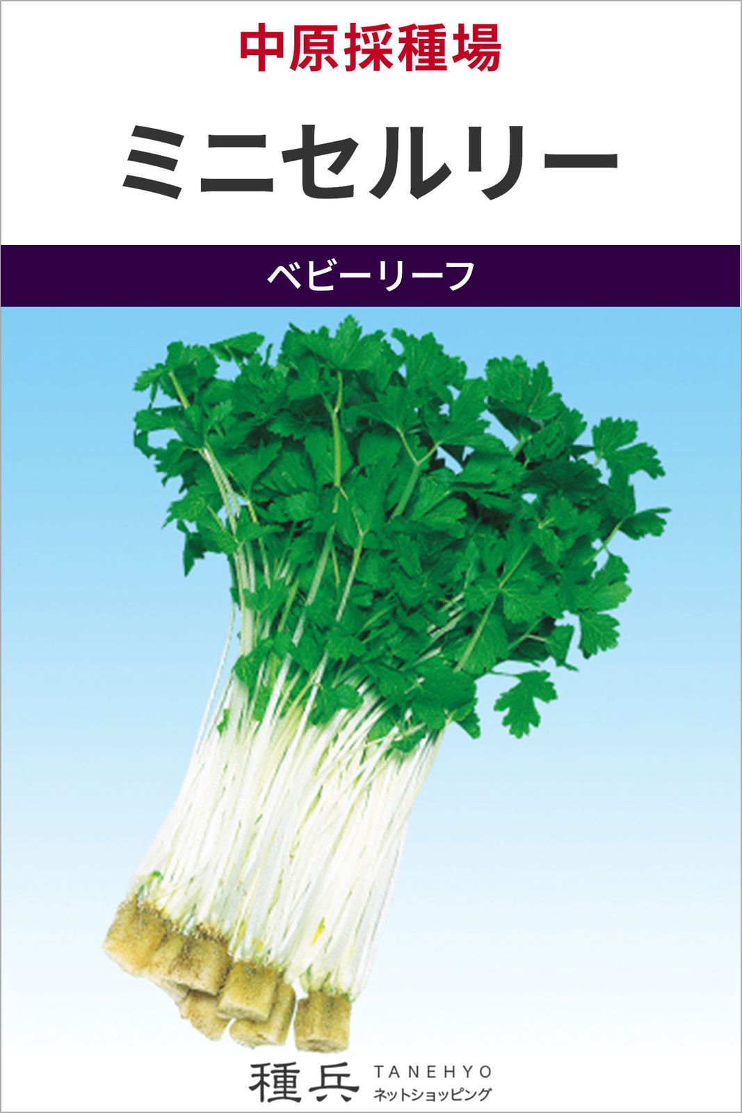 ベビーリーフ 種 『ミニセルリー』  中原採種場