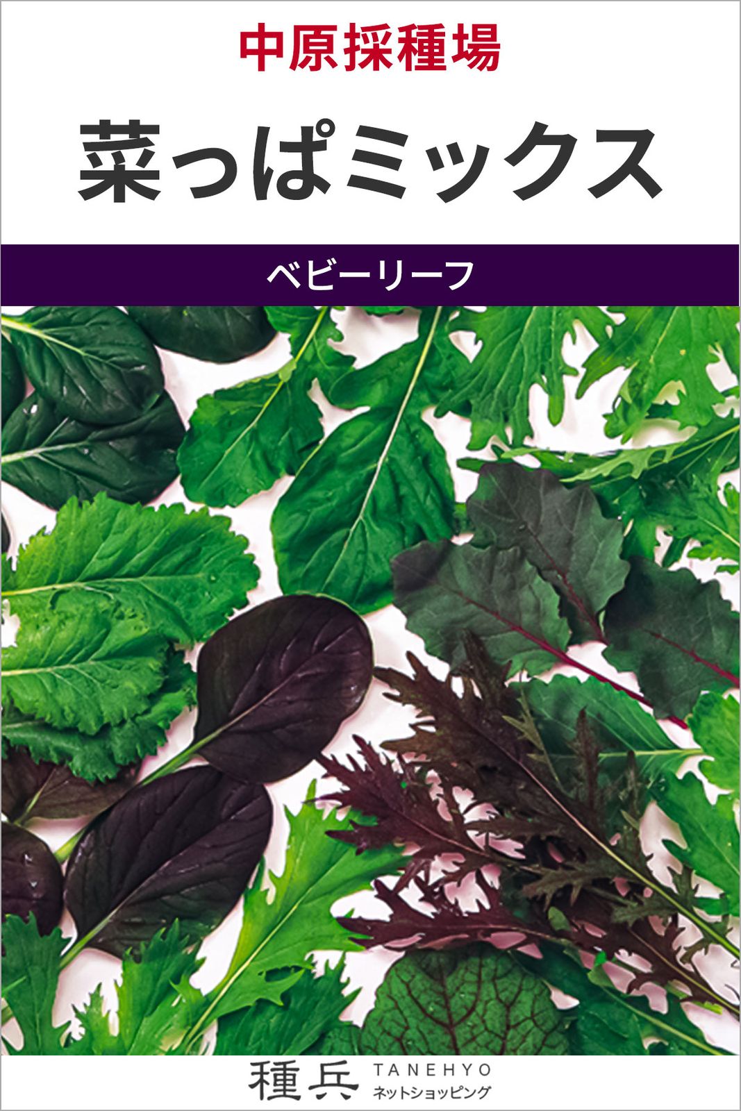 ベビーリーフ 種 『菜っぱミックス』  中原採種場
