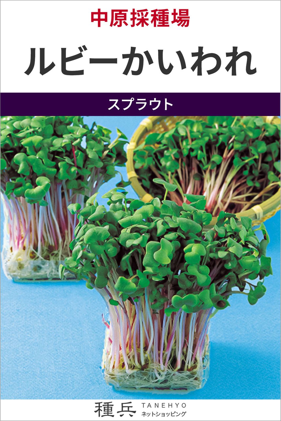 スプラウト 種 『ルビーかいわれ』  中原採種場