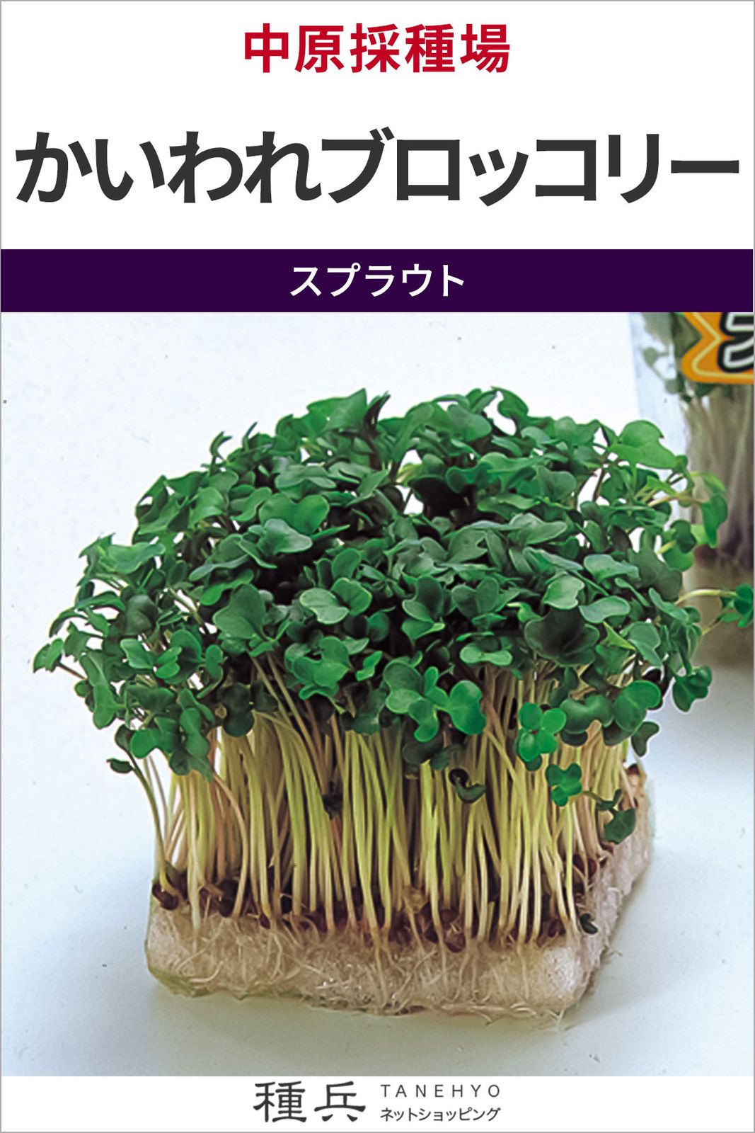 スプラウト 種 『かいわれブロッコリー』  中原採種場