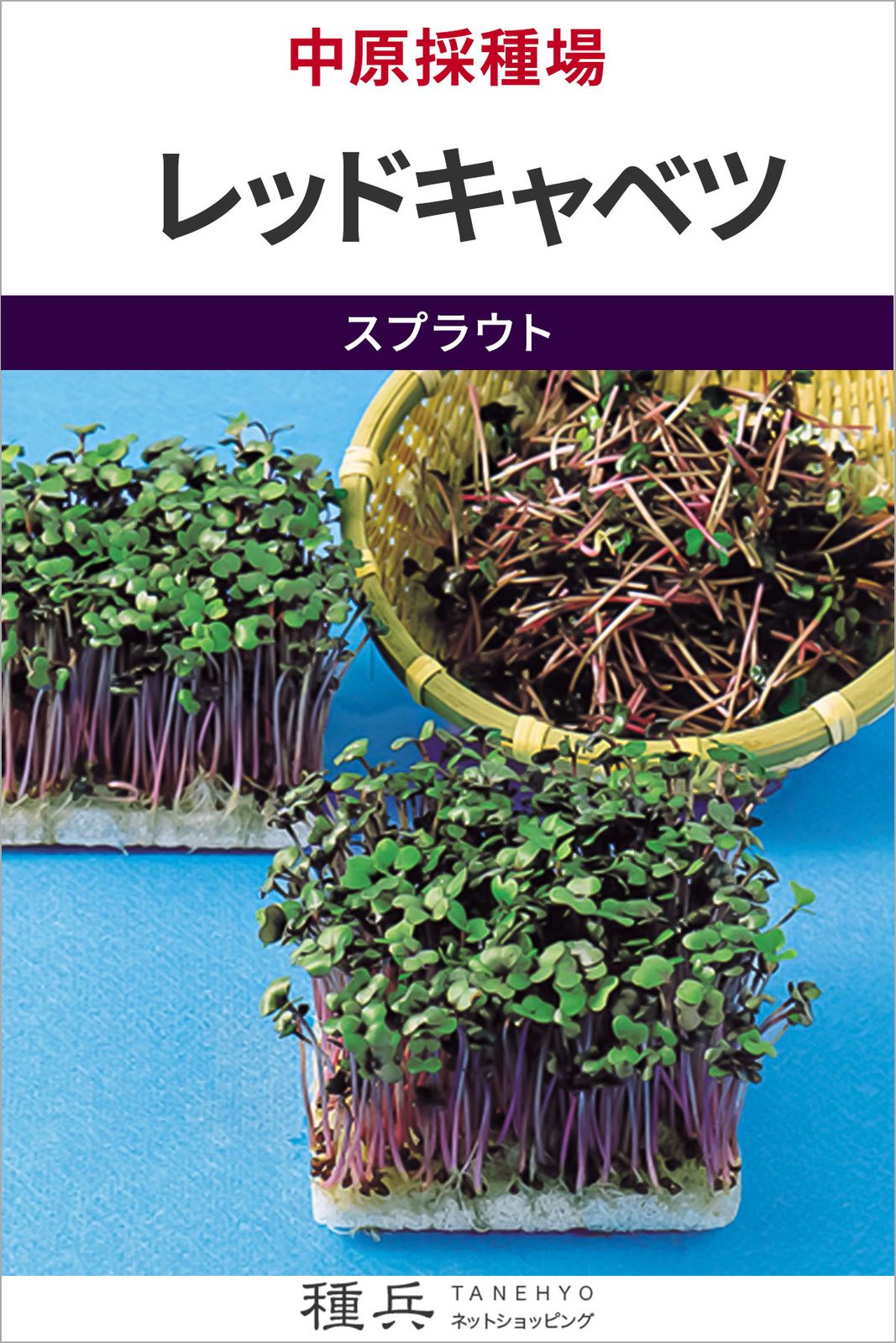 スプラウト 種 『レッドキャベツ』  中原採種場
