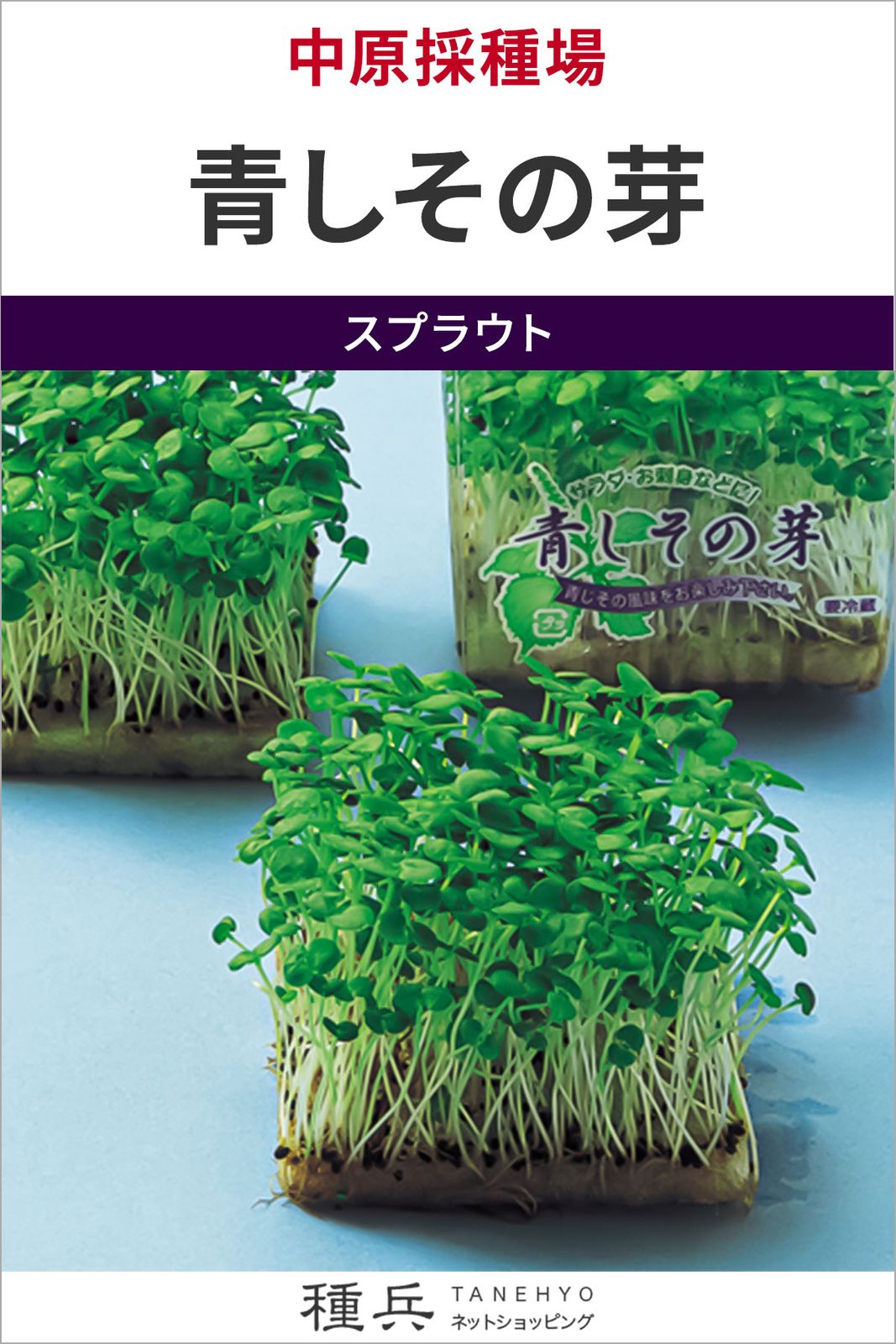 スプラウト 種 『青しその芽』  中原採種場