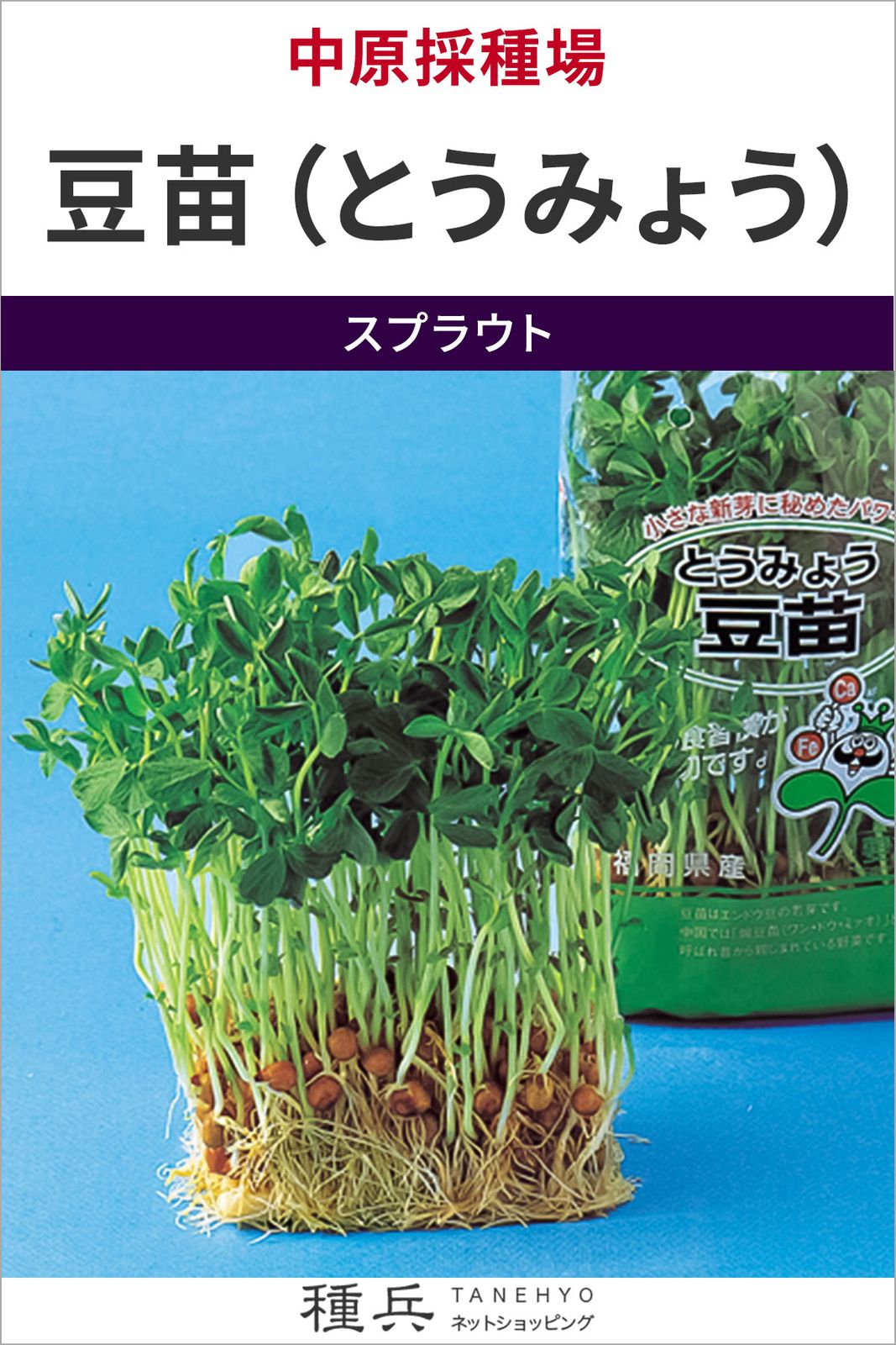 スプラウト 種 『豆苗（とうみょう）』  中原採種場