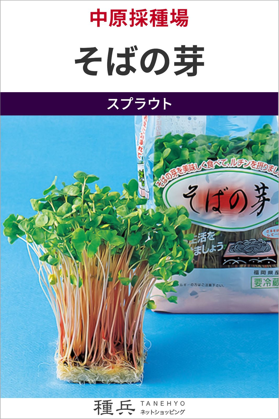 スプラウト 種 『そばの芽』  中原採種場