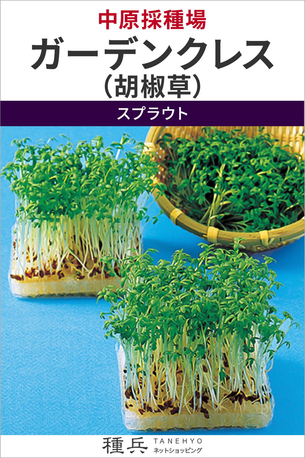 スプラウト 種 『ガーデンクレス（胡椒草）』  中原採種場
