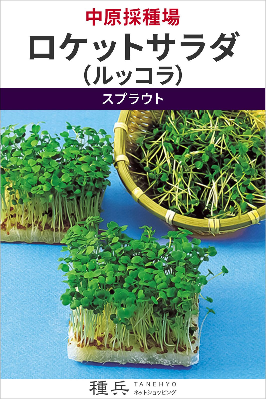スプラウト 種 『ロケットサラダ（ルッコラ）』  中原採種場
