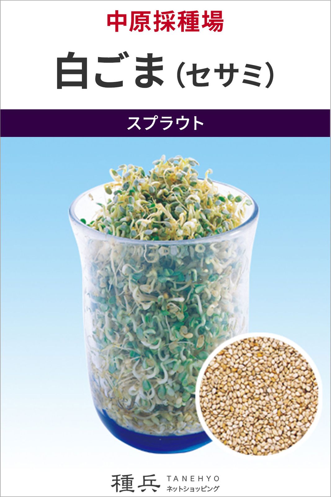 スプラウト 種 『白ごま（セサミ）』  中原採種場