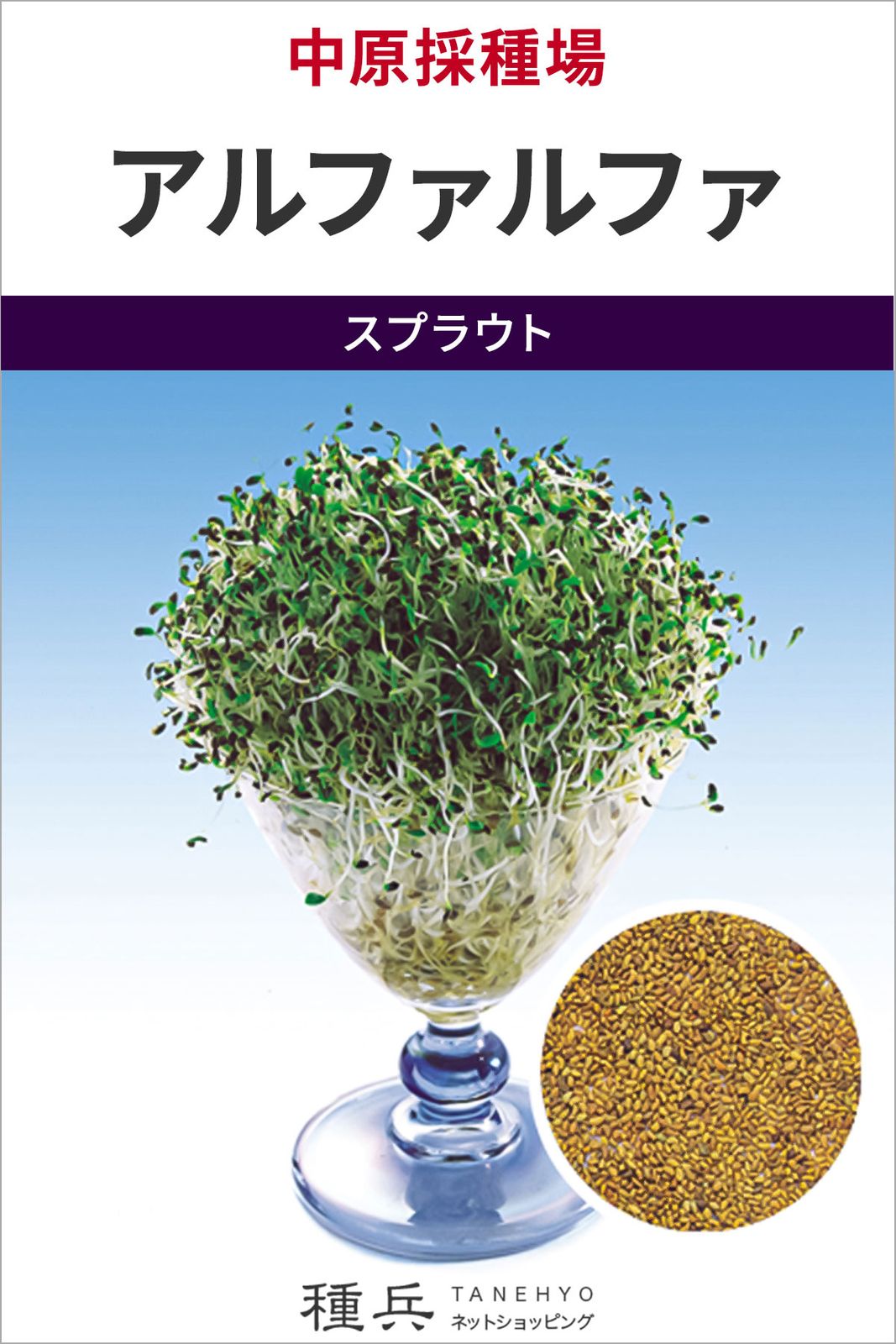 スプラウト 種 『アルファルファ』  中原採種場