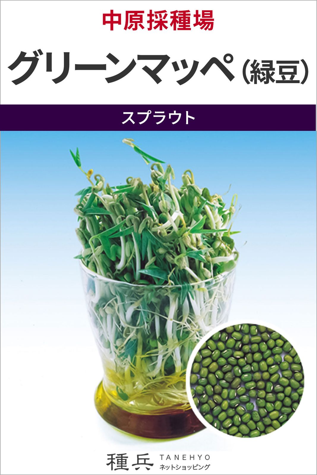 スプラウト 種 『グリーンマッペ（緑豆）』  中原採種場