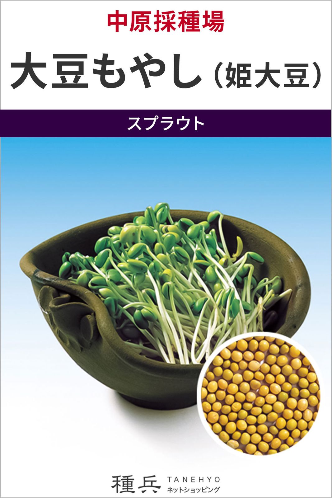 スプラウト 種 『大豆もやし（姫大豆）』  中原採種場