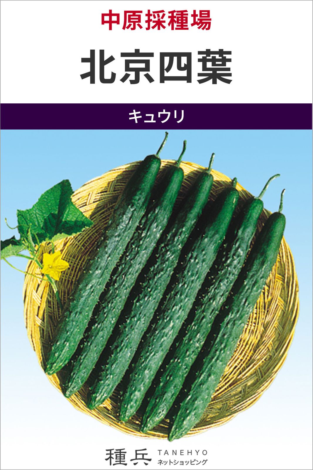 四葉キュウリ 種 『北京四葉』  中原採種場