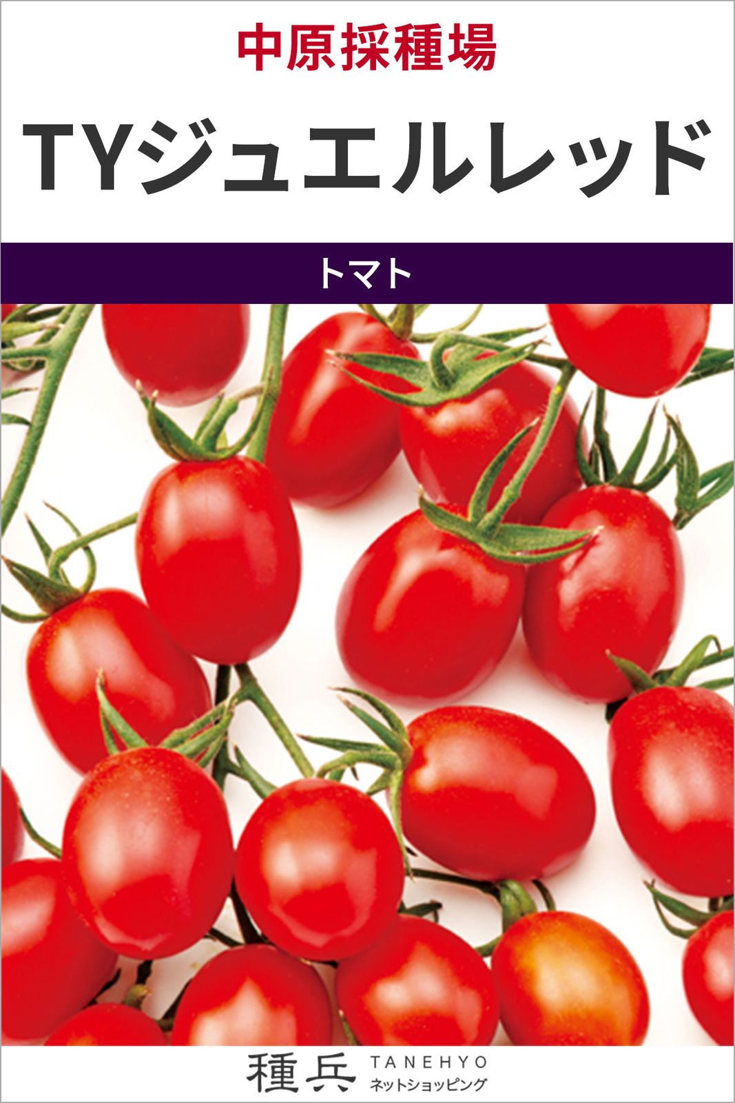 ミニトマト 種 『TYジュエルレッド』  中原採種場
