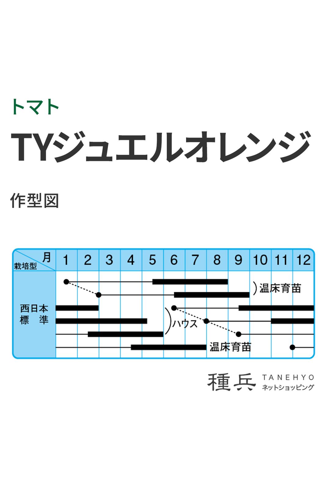 トマト様オーダーページ ミニトマト 種 『TYジュエルオレンジ』 中原採種場 | たね,果菜の種