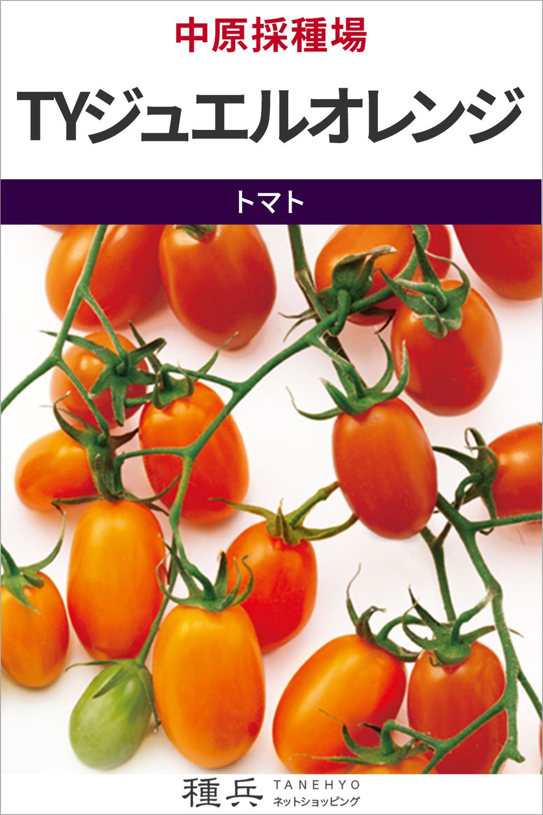 ミニトマト 種 『TYジュエルオレンジ』 中原採種場 | たね,果菜の種