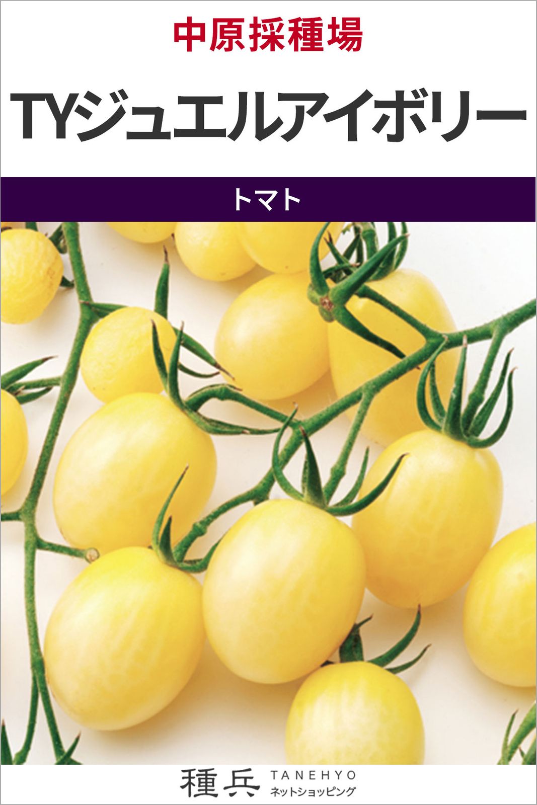 ミニトマト 種 『TYジュエルアイボリー』  中原採種場