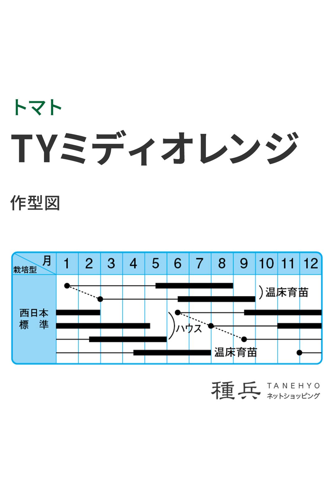 中玉トマト 種 『TYミディオレンジ』 中原採種場 | たね,果菜の種