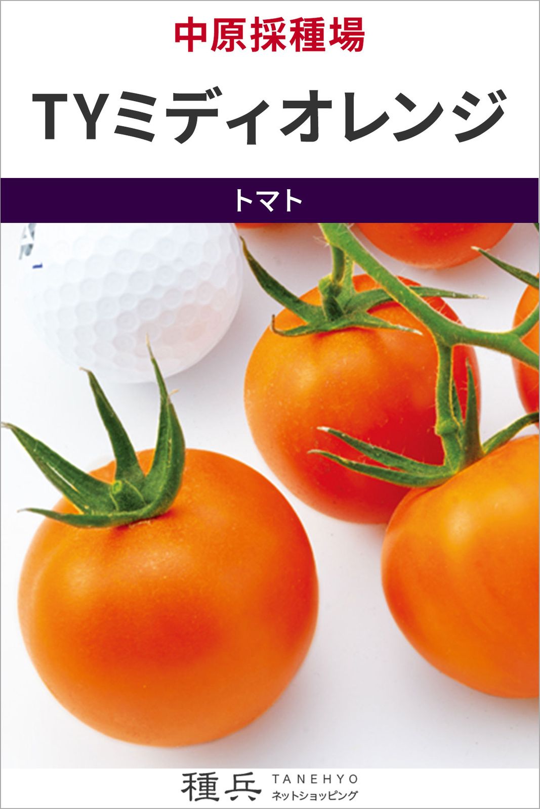 中玉トマト 種 『TYミディオレンジ』  中原採種場
