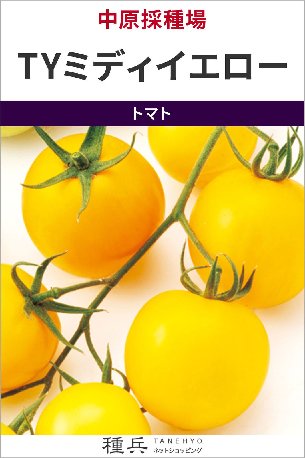 中玉トマト 種 『TYミディイエロー』  中原採種場