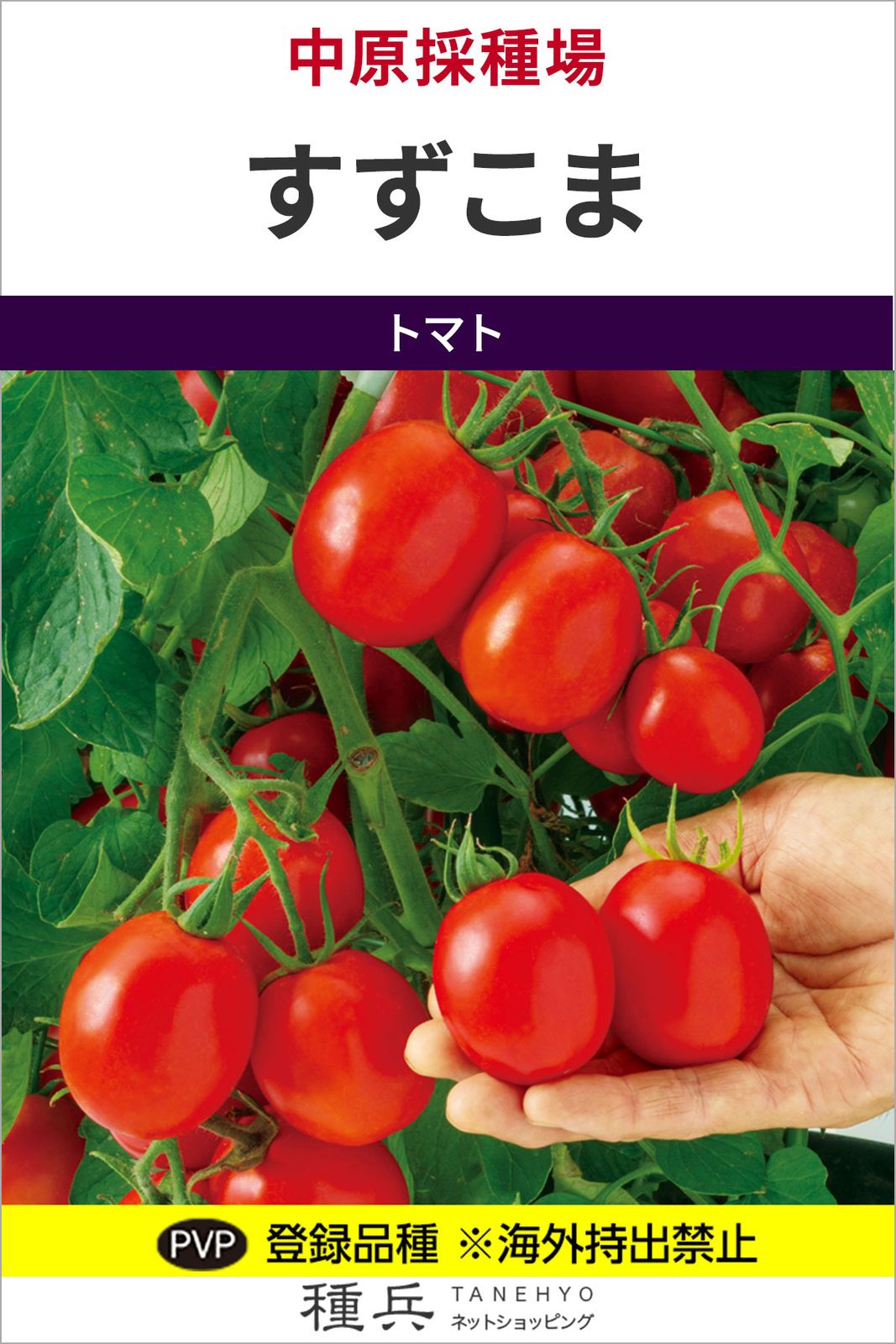 中玉トマト 種 『すずこま』  中原採種場