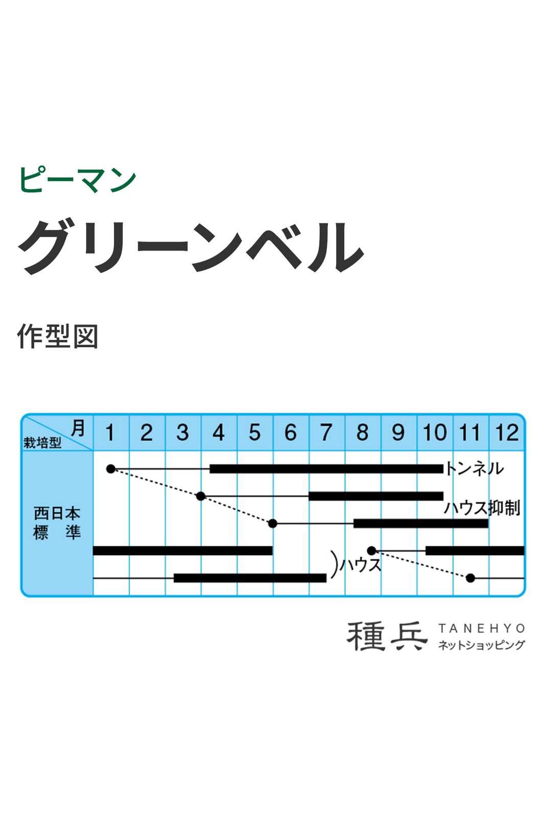 ピーマン 種 『グリーンベル』 中原採種場 | たね,果菜の種,ピーマン