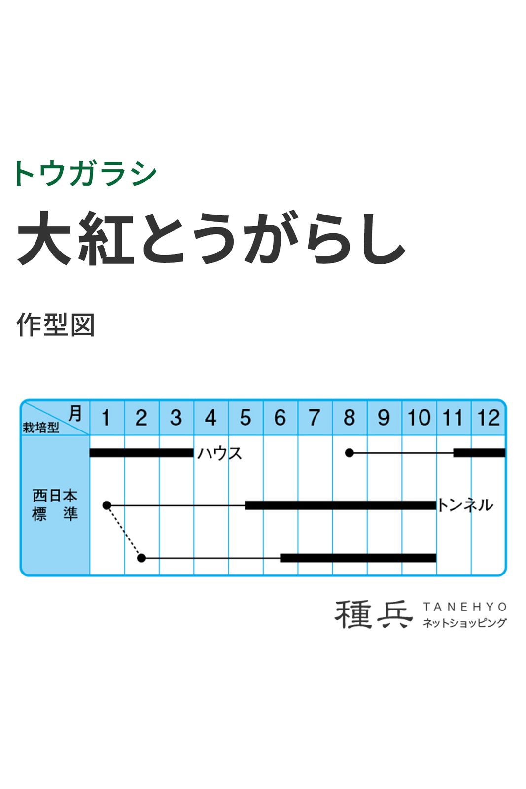 大型トウガラシ 種 『大紅とうがらし』 中原採種場 | たね,果菜の種