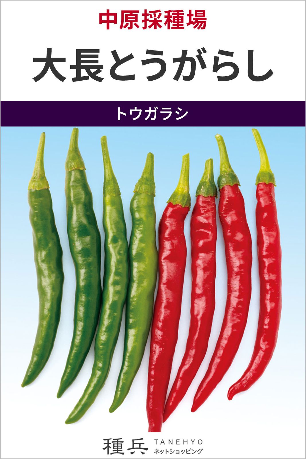 トウガラシ 種 『大長とうがらし』  中原採種場