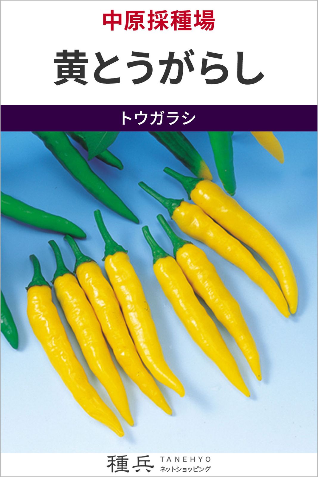 トウガラシ 種 『黄とうがらし』  中原採種場