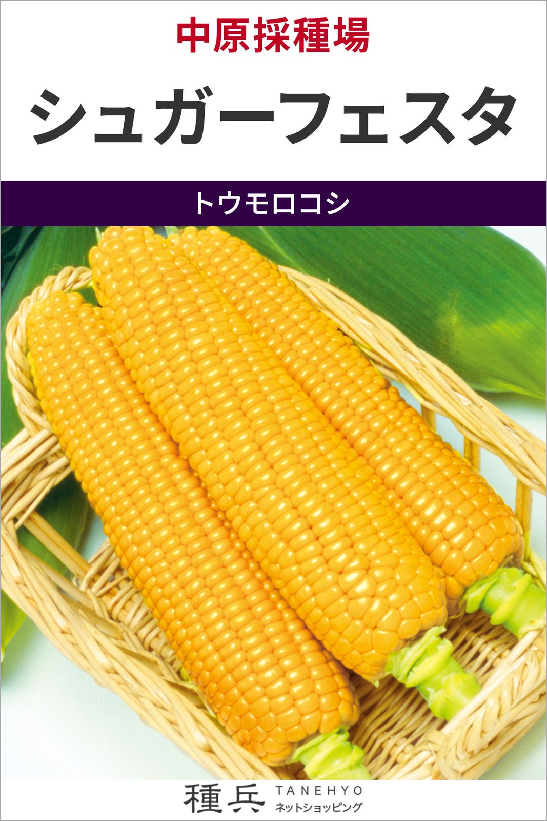 スイートコーン 種 『シュガーフェスタ』  中原採種場
