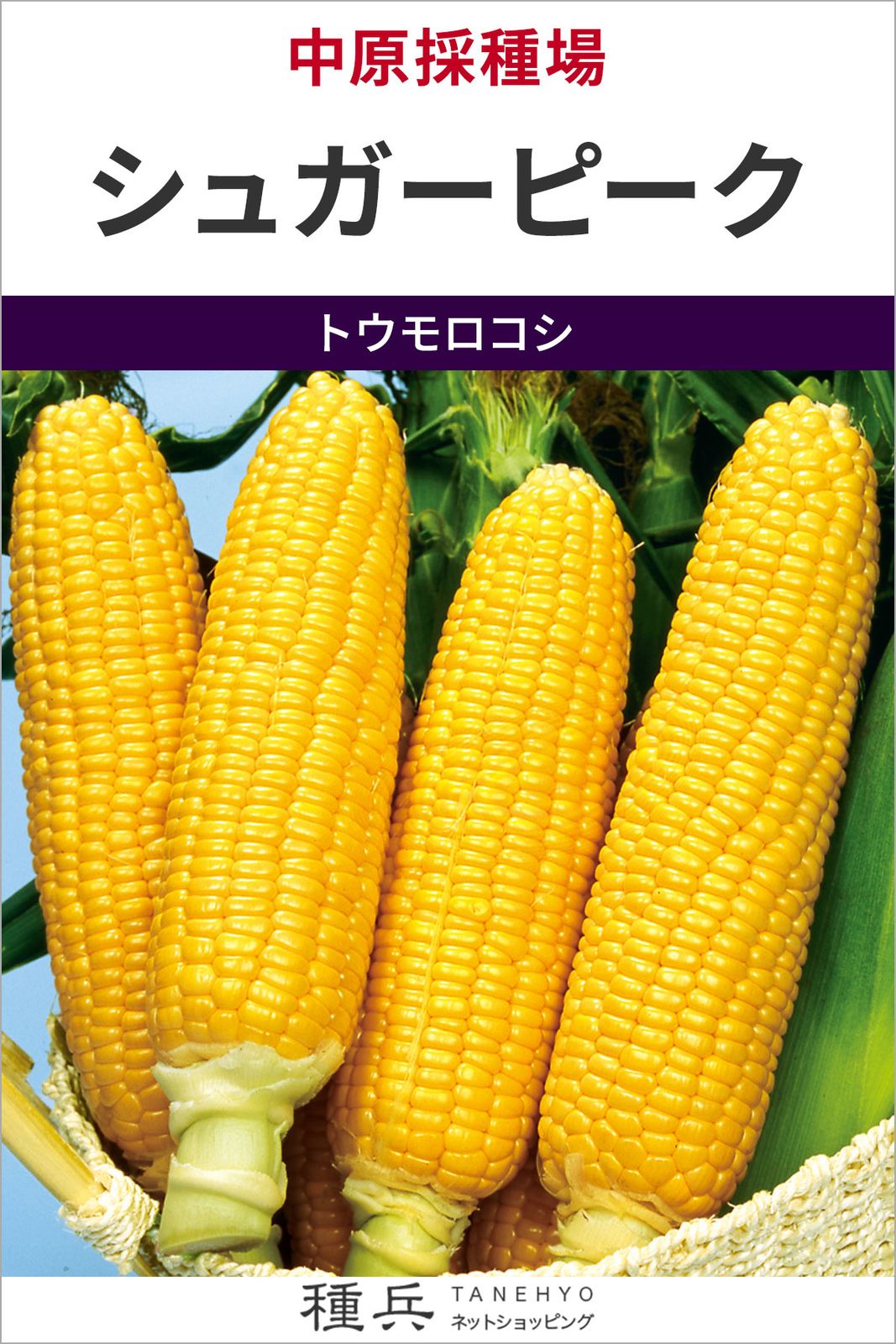 スイートコーン 種 『シュガーピーク』  中原採種場
