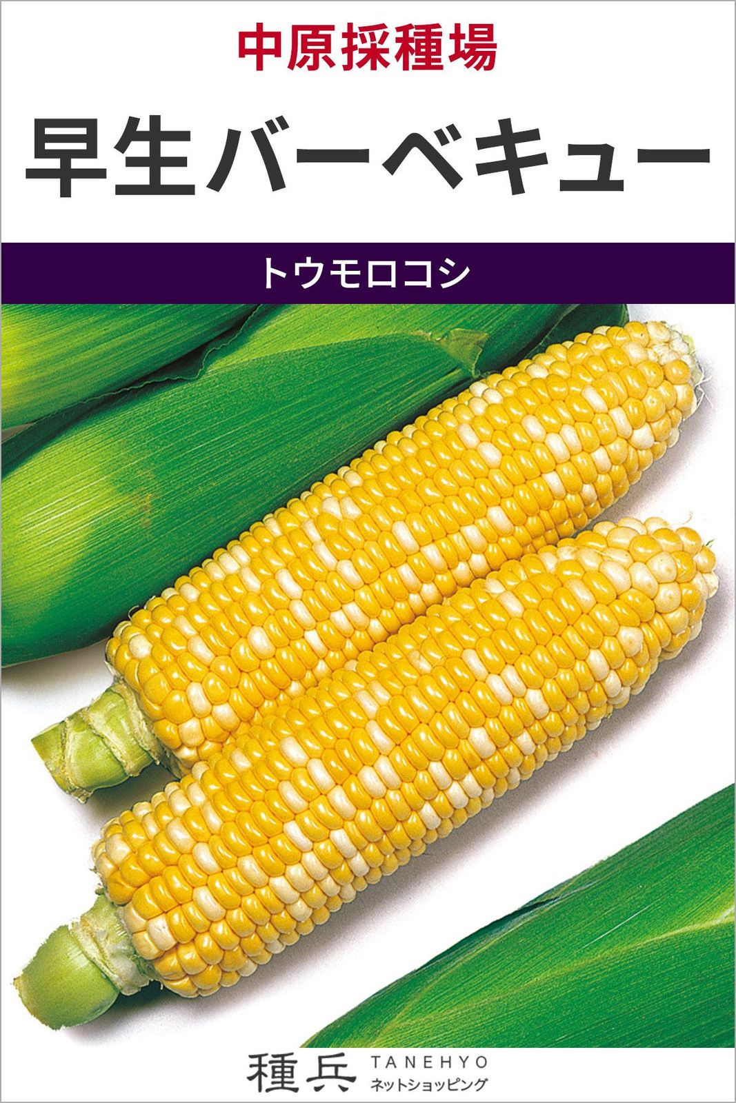 スイートコーン 種 『早生バーベキュー』  中原採種場