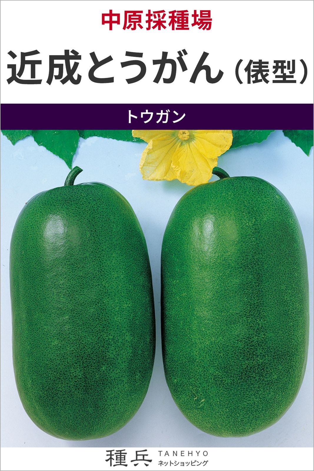 トウガン 種 『近成とうがん（俵型）』  中原採種場