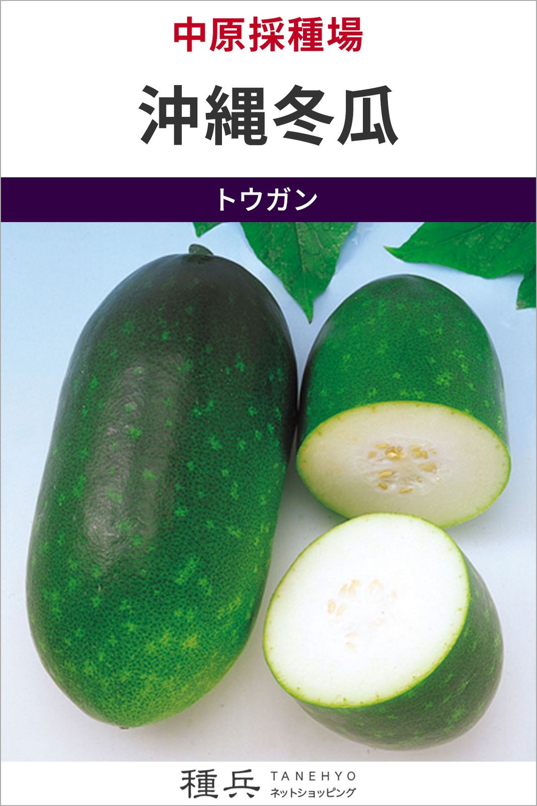 トウガン 種 『沖縄冬瓜』  中原採種場