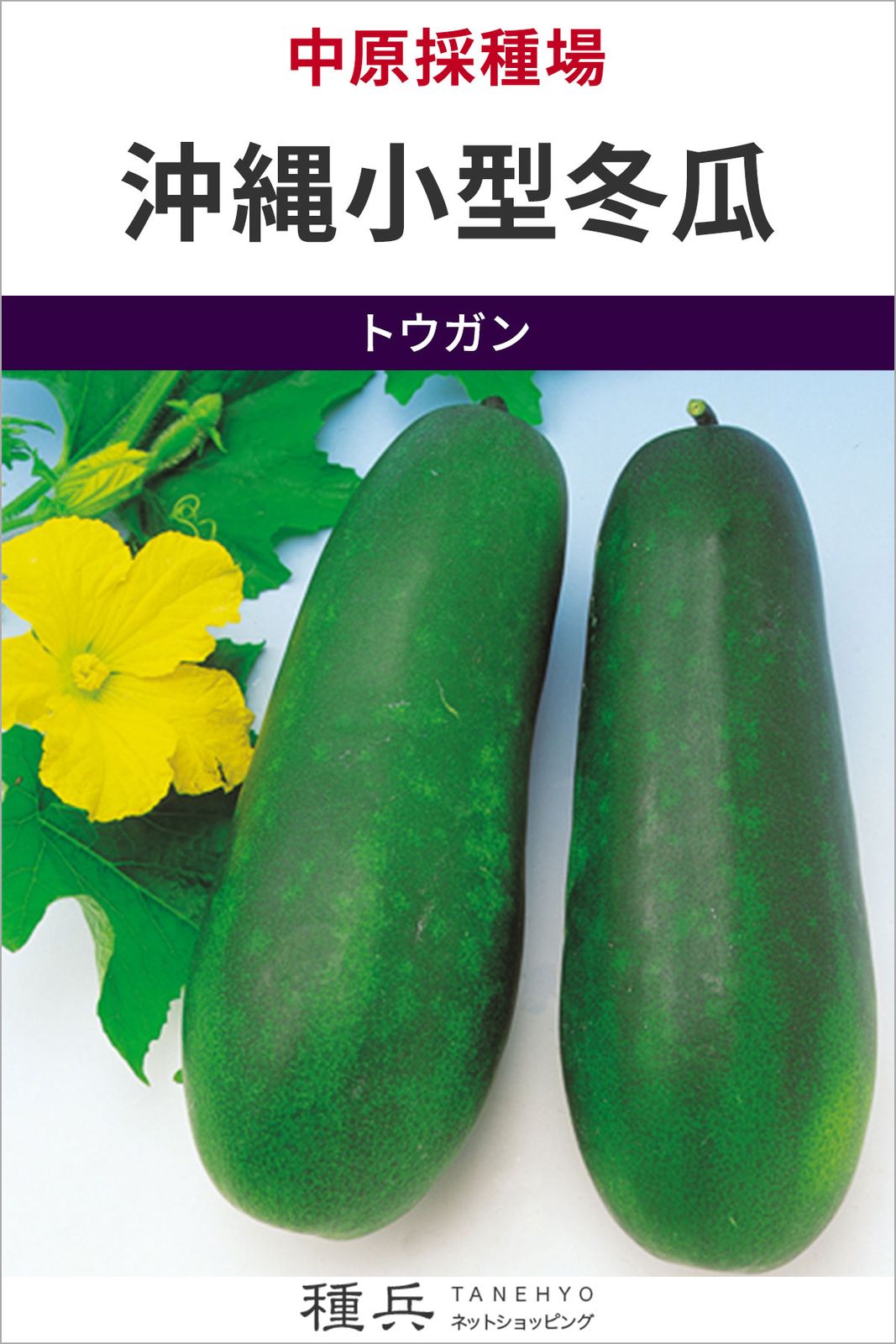 トウガン 種 『沖縄小型冬瓜』  中原採種場
