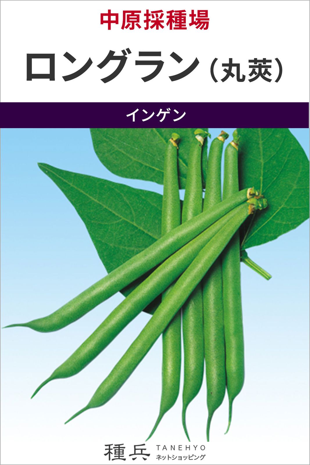 つるありインゲン 種 『ロングラン（丸莢）』  中原採種場