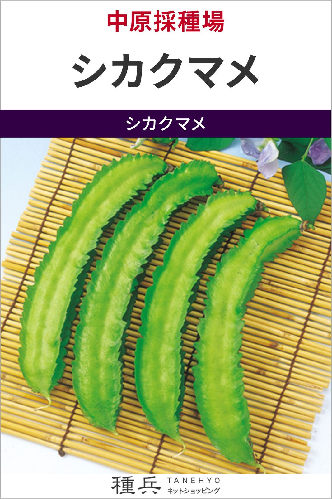 シカクマメ 種 『シカクマメ』  中原採種場