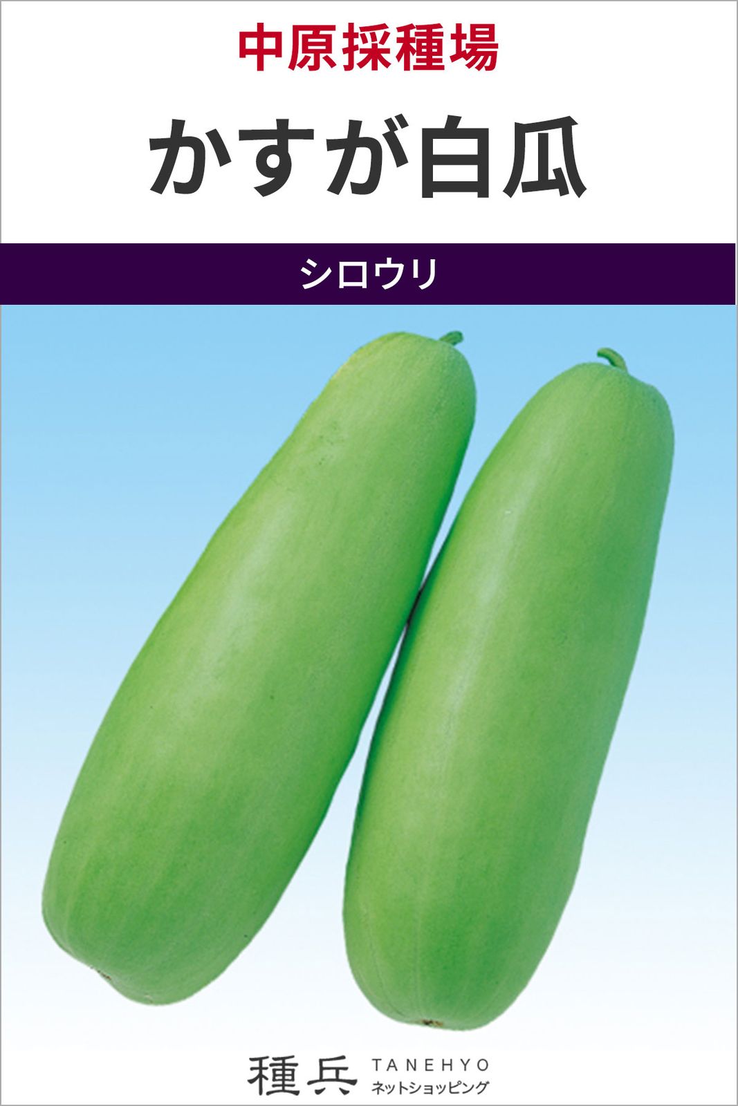 シロウリ 種 『かすが白瓜』  中原採種場
